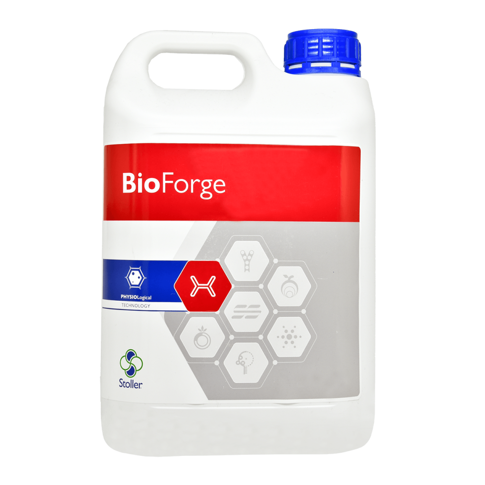 BIOFORGE 5L