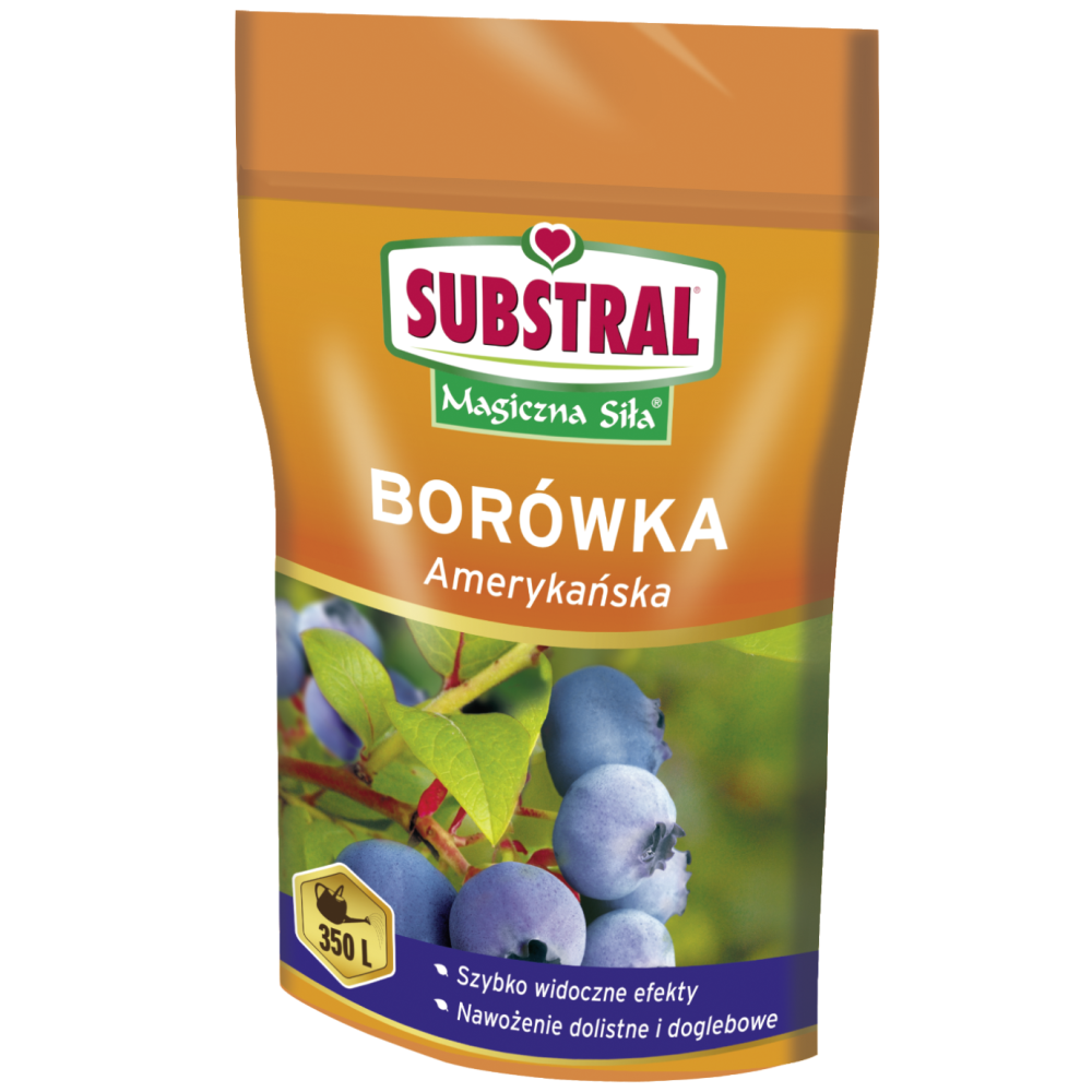 MAGICZNA SIŁA DO BORÓWEK 350G