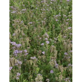 MIESZANKA POPLONOWA TOP VITA NATURA 20 KG