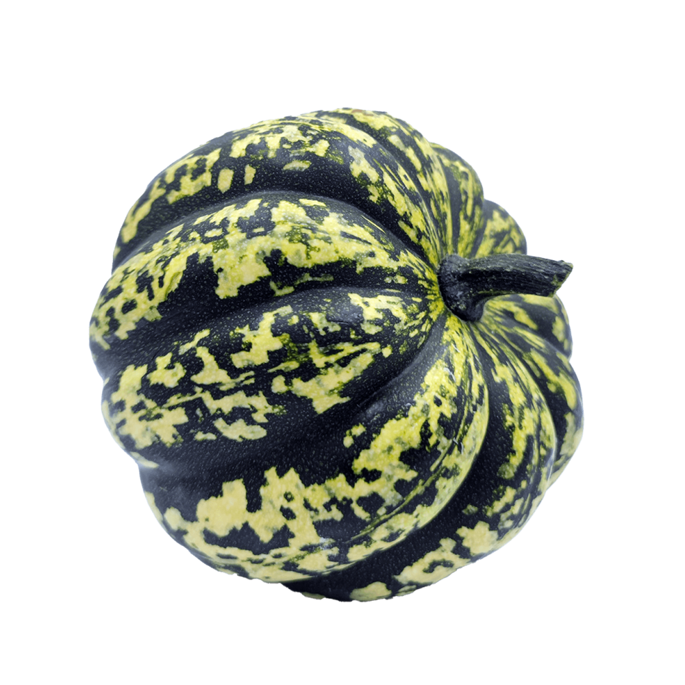 DYNIA OZDOBNA HEART OF GOLD F1 1000N