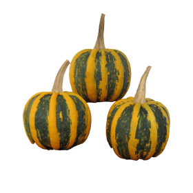 DYNIA OZDOBNA KAMO KAMO 1000N ST