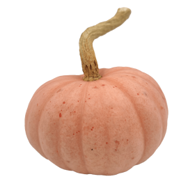 DYNIA OZDOBNA MISS SOPHIE PINK 250N ST