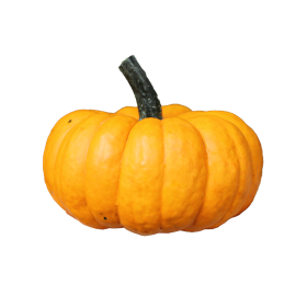 DYNIA OZDOBNA SAM ORANGE 250N ST