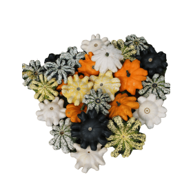 DYNIA OZDOBNA ORBIS F1 MIX 1000N ST