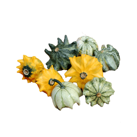 DYNIA OZDOBNA CROWN MIX 10 COMM 1000N ST