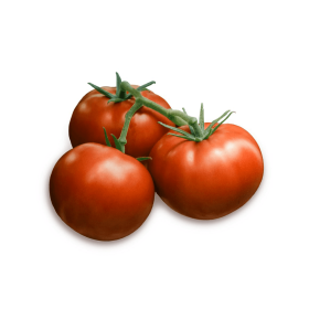 POMIDOR SZKLARNIOWY FERREIRA 500 NAS ST