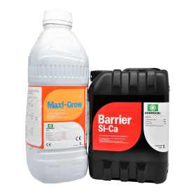 PAK MAXI GROW 5L + BARRIER SI-CA 5L