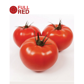 POMIDOR INSPIRED 250NAS  ST