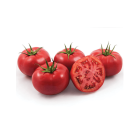 POMIDOR YARIMARU 500N F1 STD