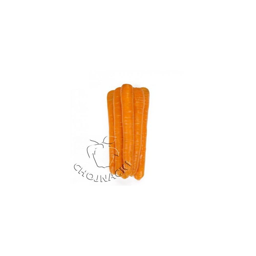 MARCHEW PRECYZYJNA MORELIA F1 1,60-1,80 RZ 100 TYS ST