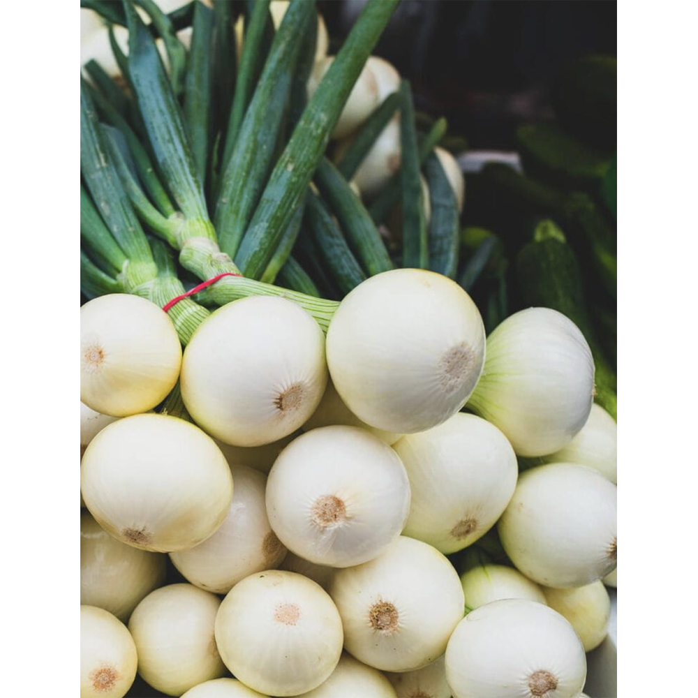 CEBULA BIAŁA TONDA MUSONA 500G ST