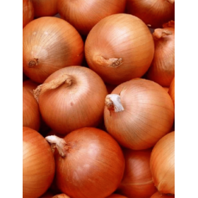 Cebula ozima Algida 500g