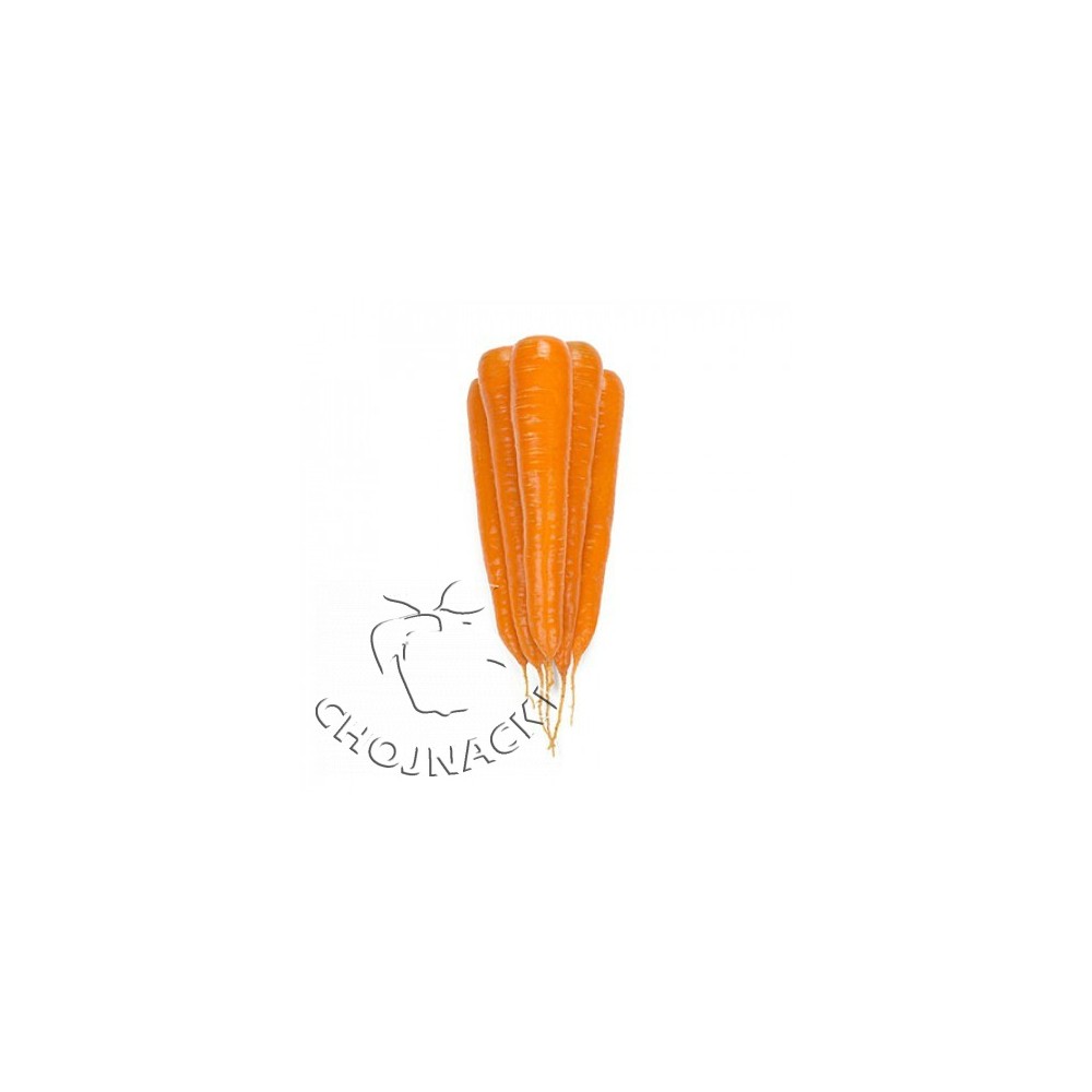 MARCHEW PRECYZYJNA TRAFFORD F1 2,00-2,20 RZ 100 TYS ST