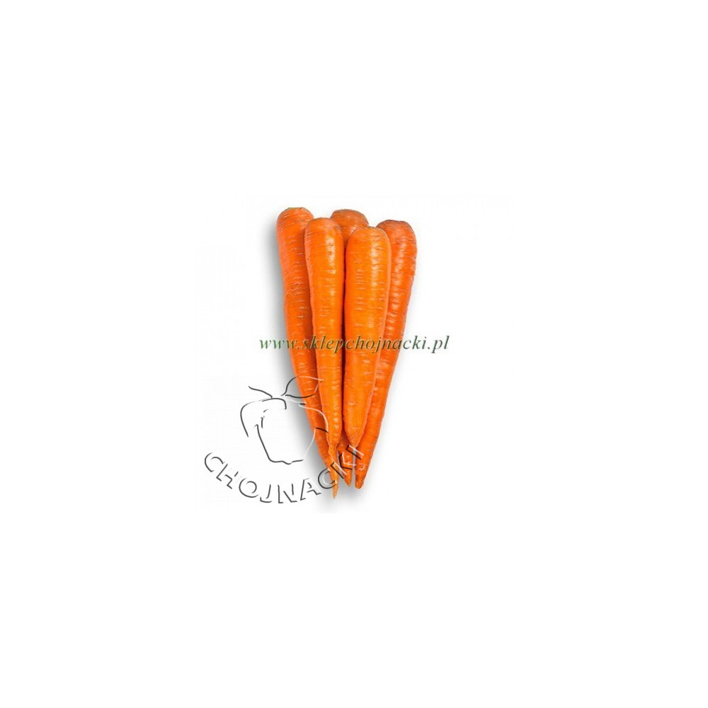 MARCHEW PRECYZYJNA WARMIA F1 1,80-2,00 RZ 100 TYS ST