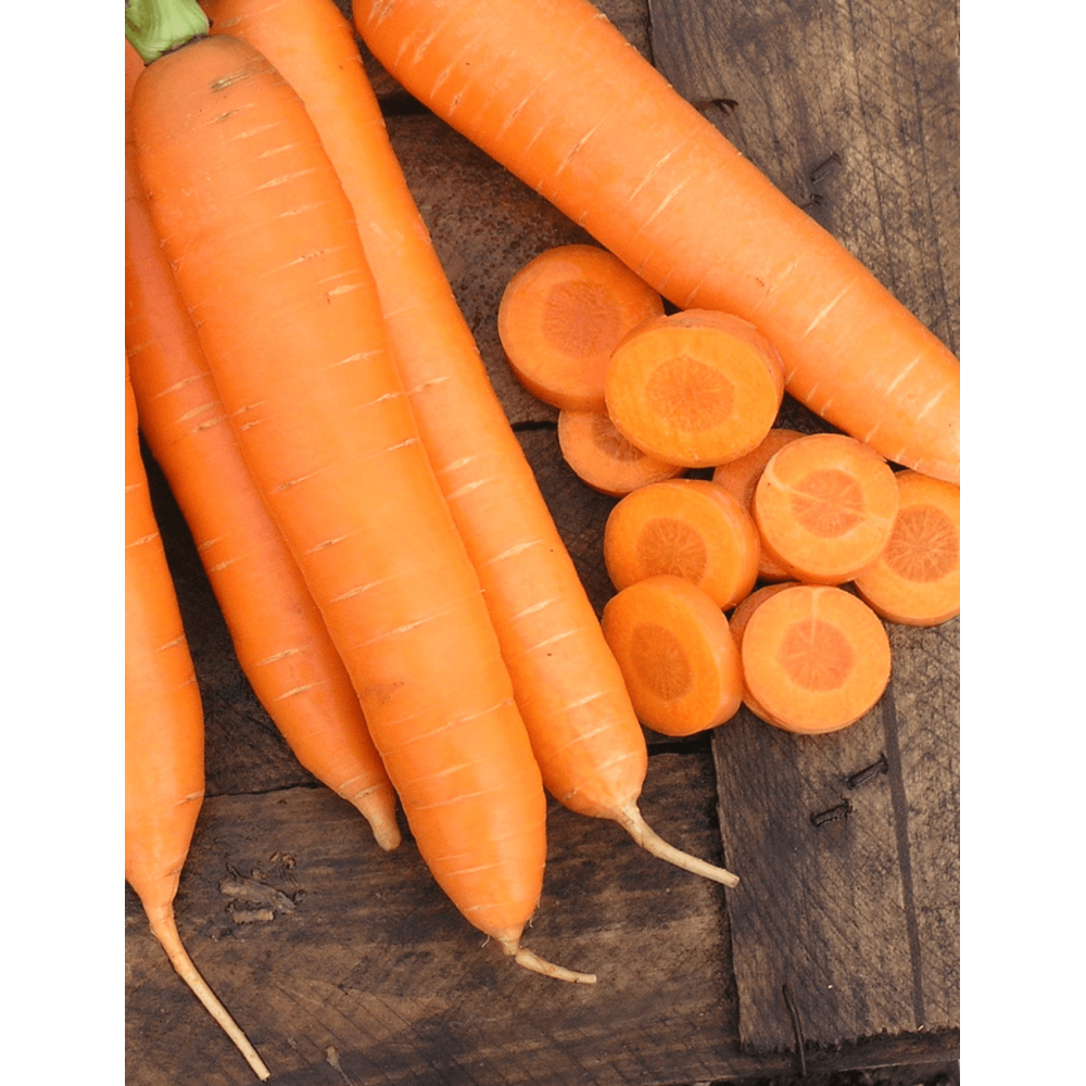 MARCHEW SIRKANA 2,00-2,20 100 TYS