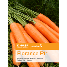 MARCHEW FLORANCE F1 100 TYS PREC. NIEZAPRAWIANE ST