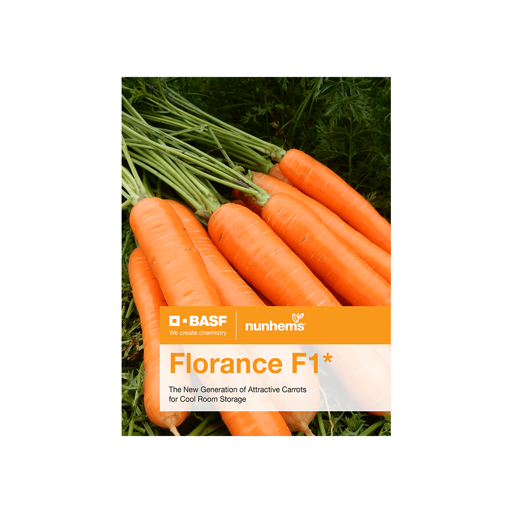 MARCHEW FLORANCE F1 100 TYS PREC. NIEZAPRAWIANE ST