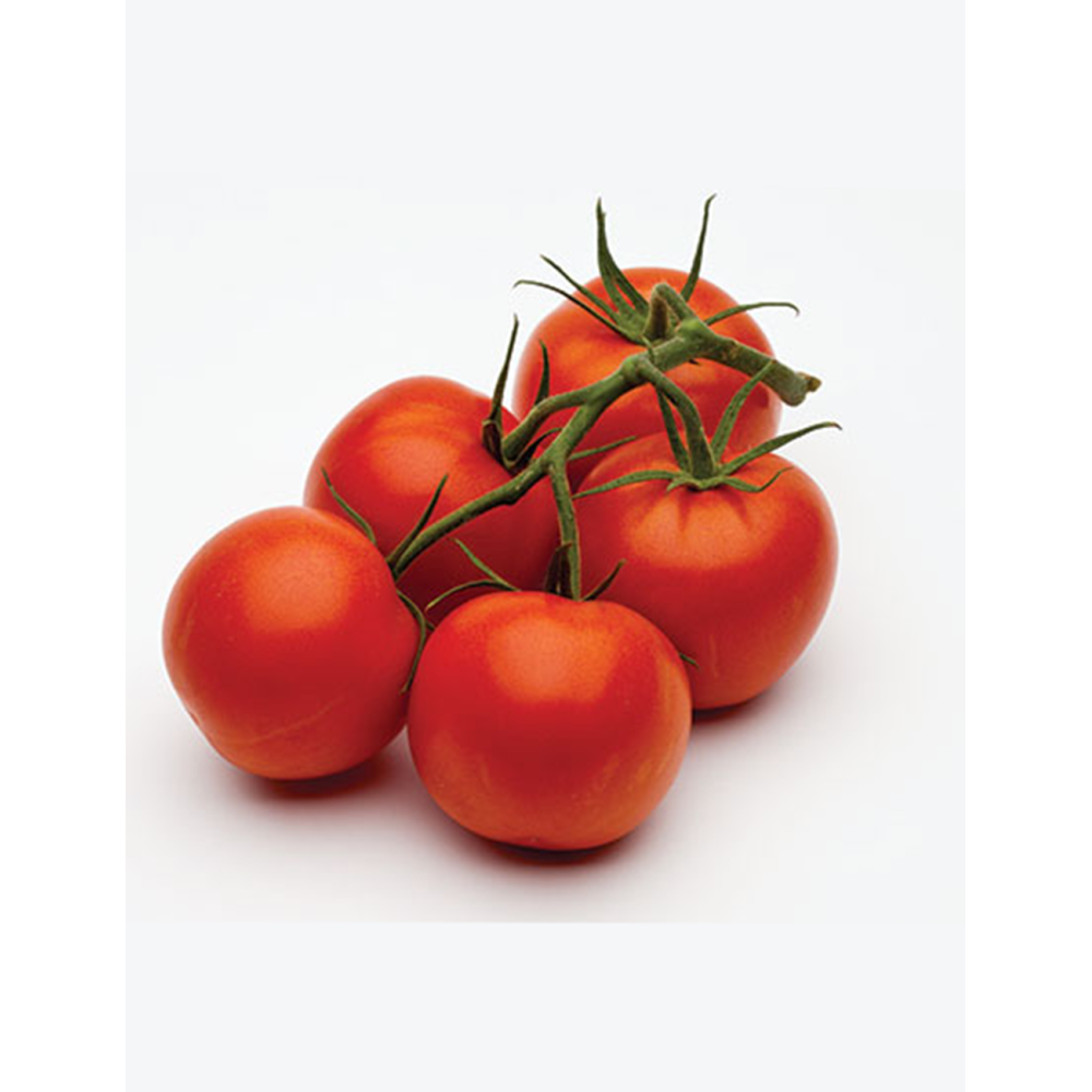 POMIDOR SZKLARNIOWY GRONOWY MERLICE F1 500 N