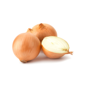 CEBULA UTRERO 100 TYS. ST