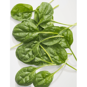 SZPINAK HYDRUS 1 MLN NIEZAPRAWIANE F1 ST