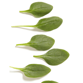 SZPINAK ANDROMEDA 1 MLN