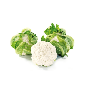 KALAFIOR WHITEX F1 2,5 TYS