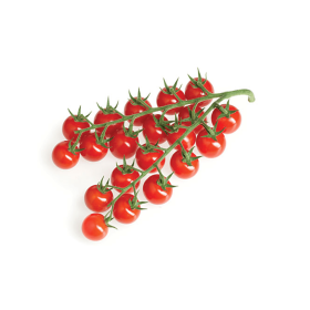 POMIDOR SZKLARNIOWY CHERRY DR0607TC F1 500 N