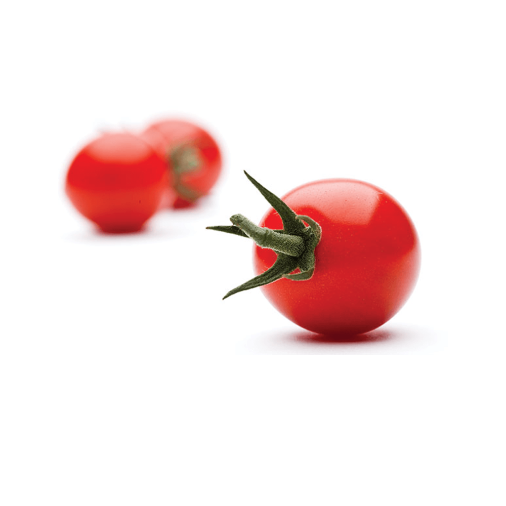 POMIDOR DRC 564 500 NAS