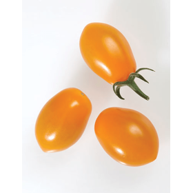 POMIDOR SZKLARNIOWY SPECJALISTYCZNY SANTORANGE 500 NAS