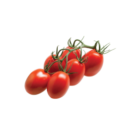 POMIDOR SZKLARNIOWY ŚLIWKOKSZTAŁTNY VOLANTIS F1 500 N