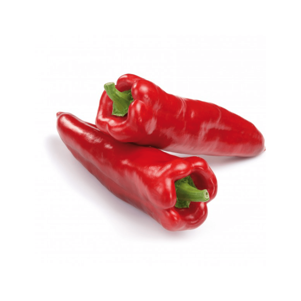PAPRYKA STOŻEK KAPTUR F1 1 TYS
