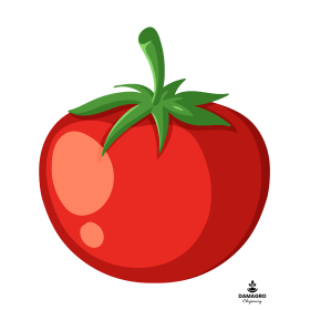 POMIDOR TUNELOWY CARNEGIE F1 500 NASION ST