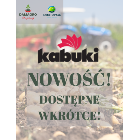KABUKI PAK 5HA DESYKANT (KABUKI 4L + KABUKI OIL 2X5L)