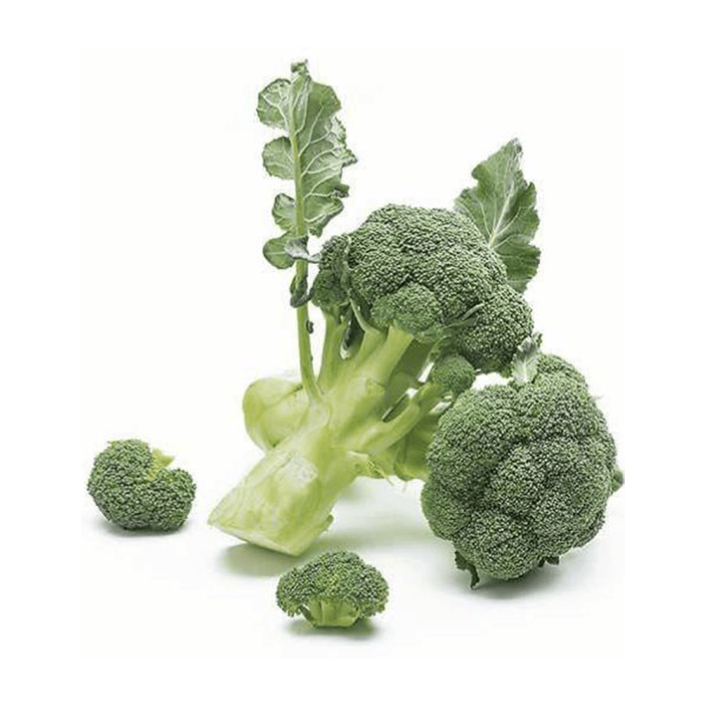 BROKUŁ GREEN BELT 2,5T STD