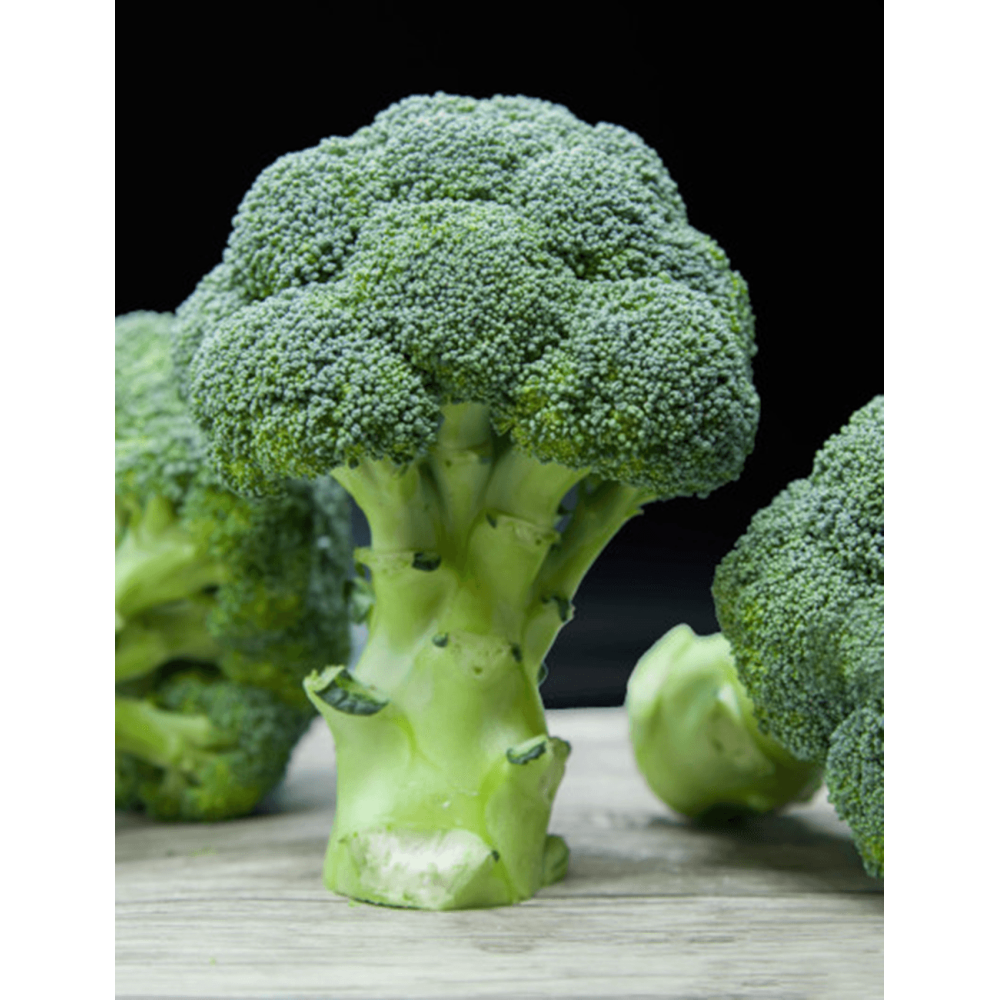 BROKUŁ MYKONOS 2,5T PREC.