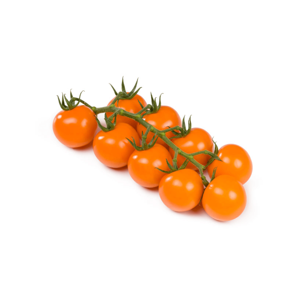 POMIDOR ANNAORANGE 500 NAS STD