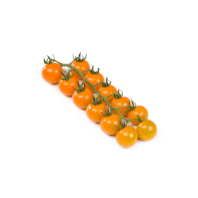 POMIDOR TOMARANGE F1 500 NAS STD