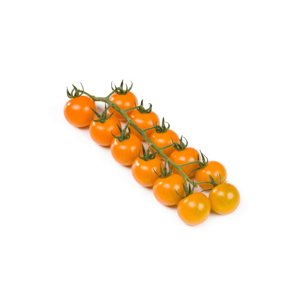 POMIDOR TOMARANGE F1 500 NAS STD