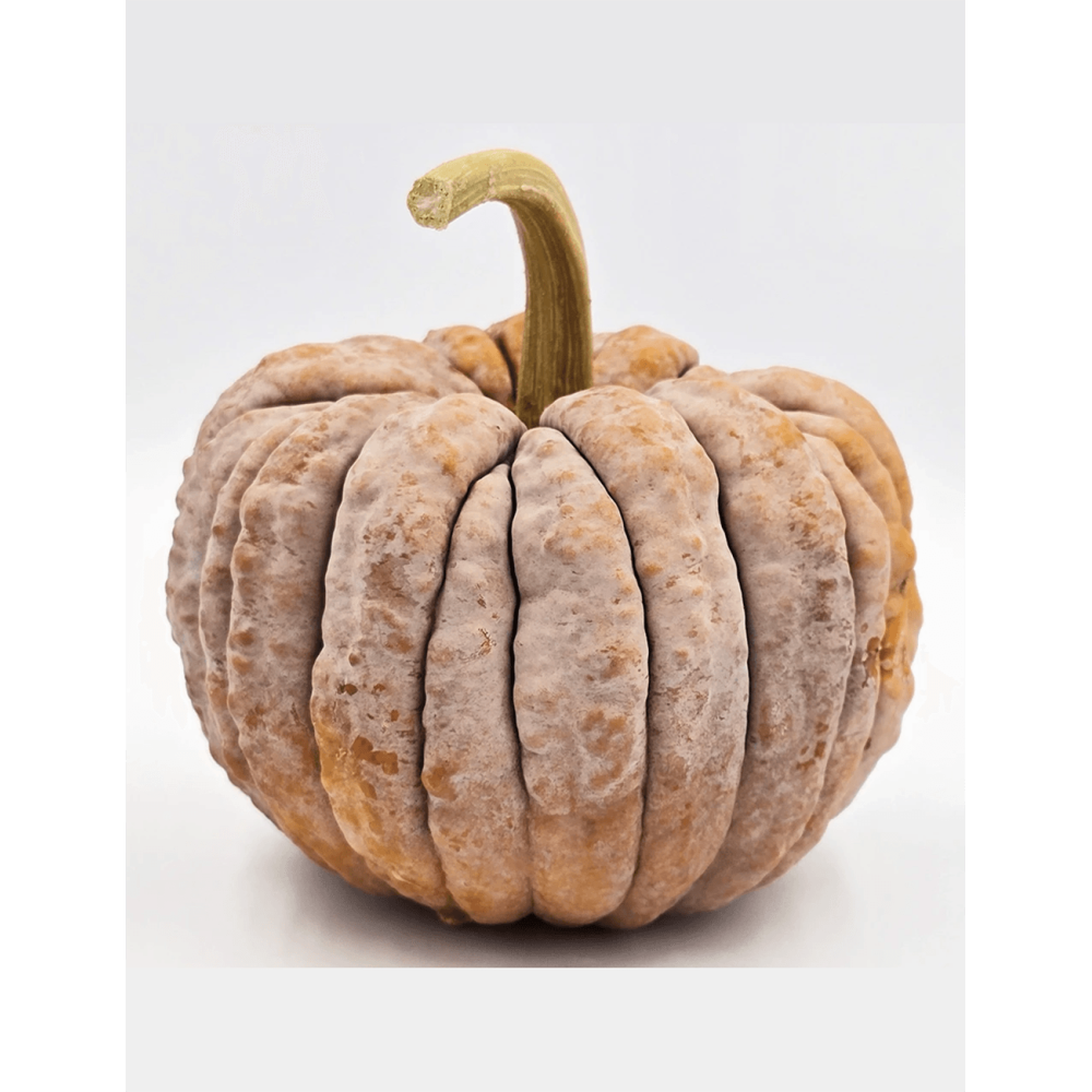 DYNIA KOGIGU 1000N ST