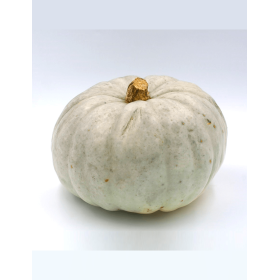 DYNIA SZARA BLUE DE HONGRIE PREMIUM 1000N ST