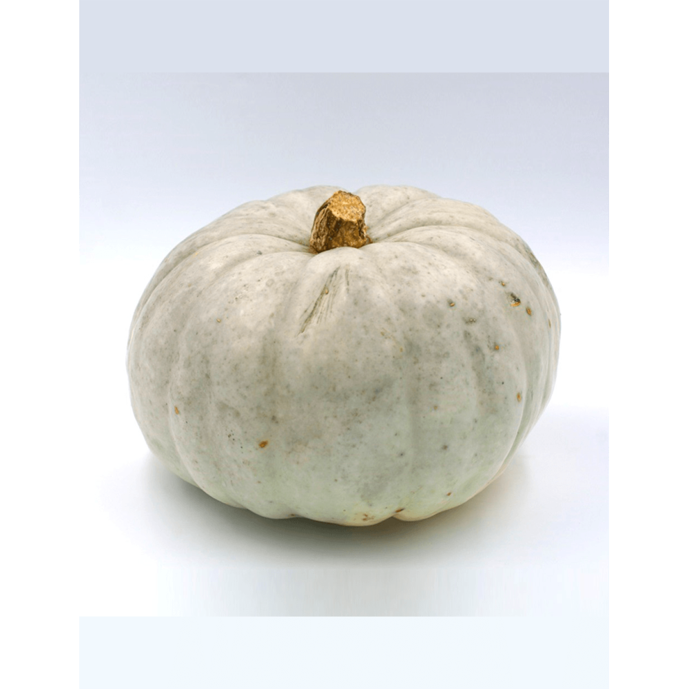 DYNIA SZARA BLUE DE HONGRIE PREMIUM 1000N ST