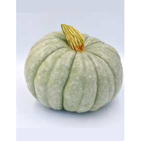 DYNIA SZARA JARRAHDALE F1 1000N ST