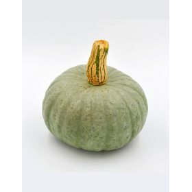 DYNIA SZARA SOMBRA F1 1000N ST