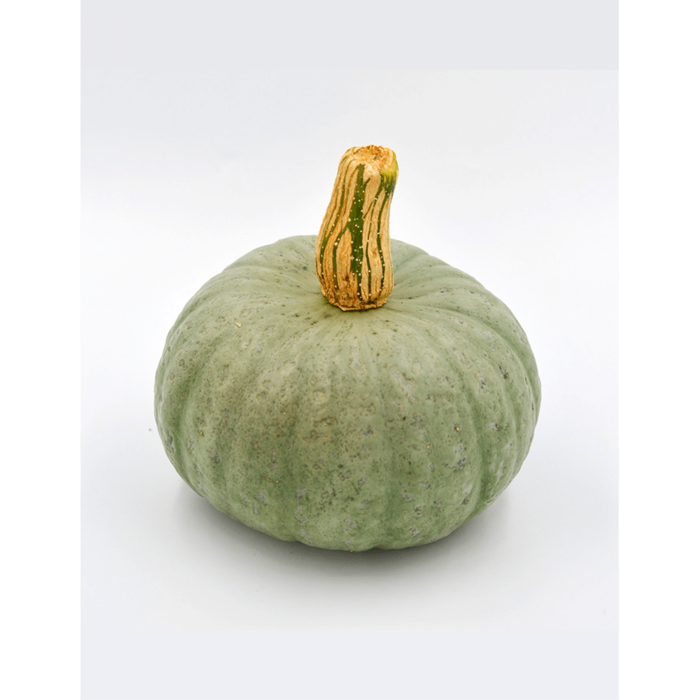 DYNIA SZARA SOMBRA F1 1000N ST