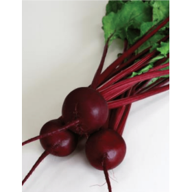 BURAK CZERWONY BE10317 50T