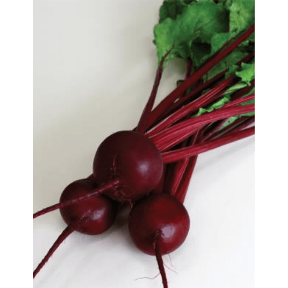 BURAK CZERWONY BE10317 50T