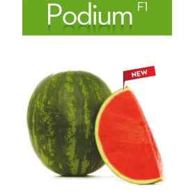 ARBUZ PODIUM 500N STD