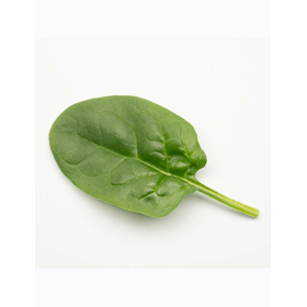 SZPINAK LONGHORN F1 1 MLN ST