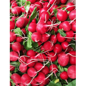 RZODKIEWKA DZOURA (2,50-2,75) 1MLN F1 ST