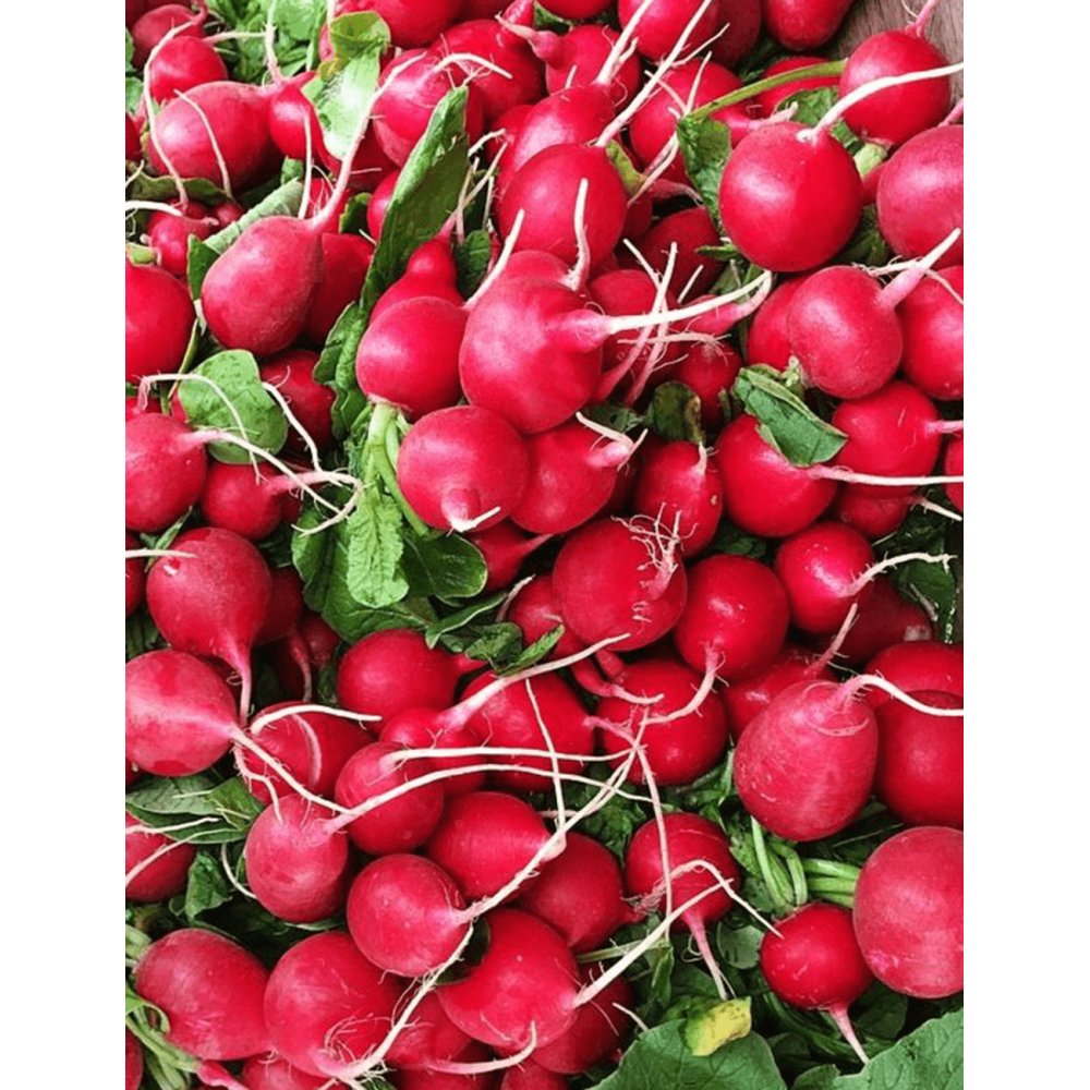 RZODKIEWKA DZOURA (3,00-3,25) 50 TYS. F1 ST